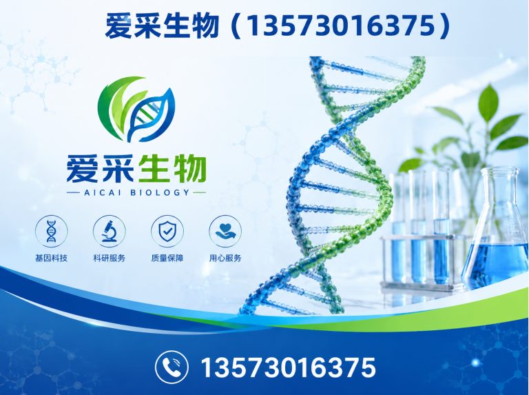 山东维生素展示图