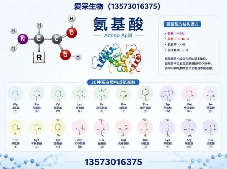 山东甜味剂展示图